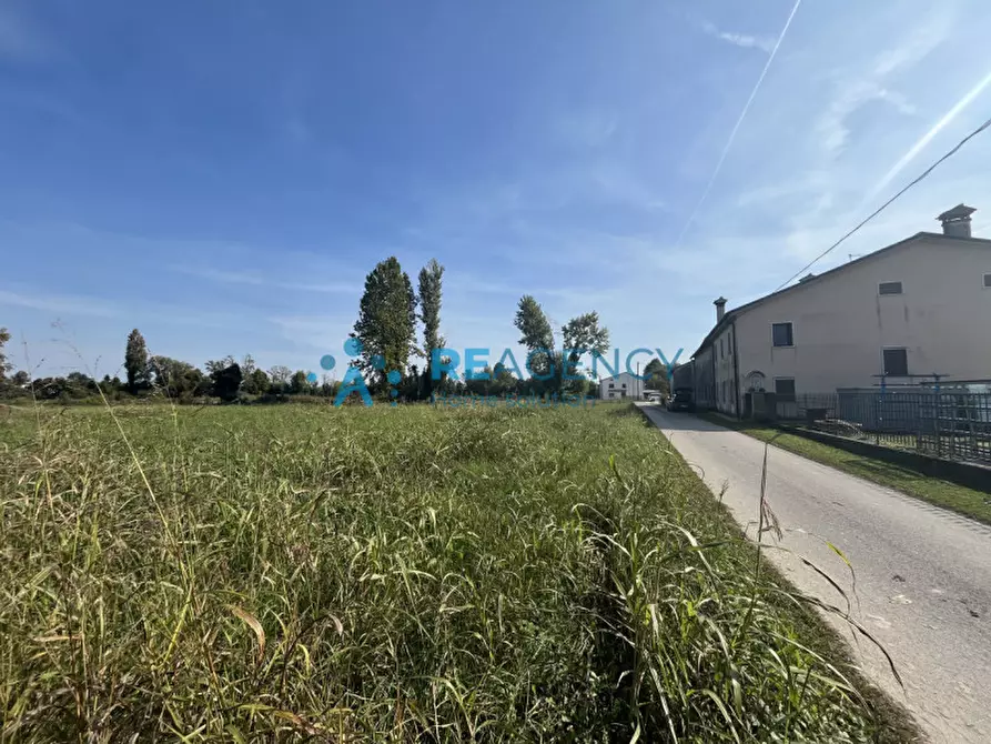 Immagine 6 di Terreno in vendita  in Via Albereria a Bressanvido