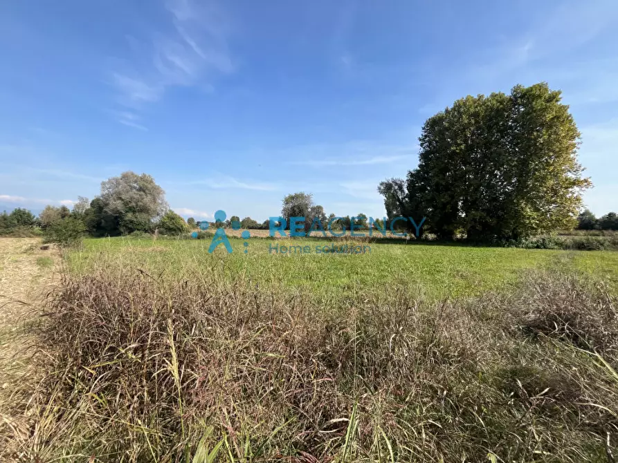 Immagine 7 di Terreno in vendita  in Via Albereria a Bressanvido