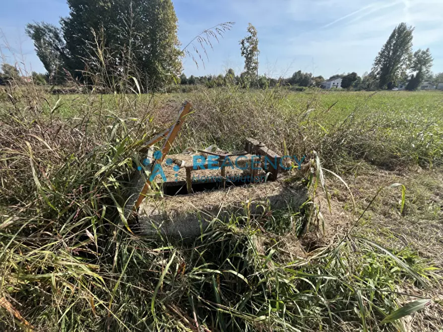 Immagine 8 di Terreno in vendita  in Via Albereria a Bressanvido