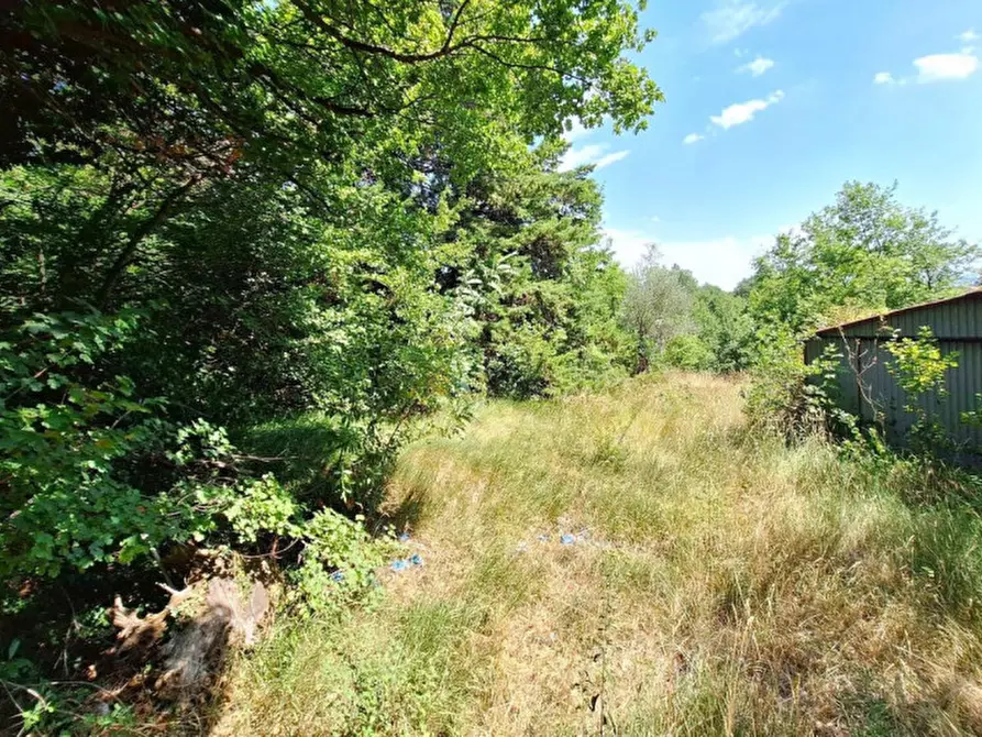 Immagine 3 di Terreno in vendita  in Strada Provinciale 2, N. Snc a Apiro