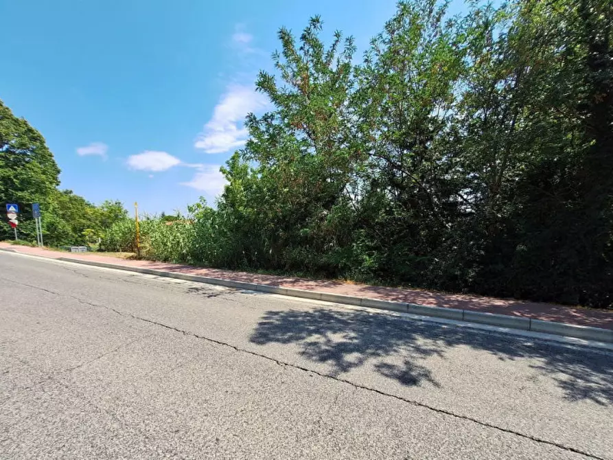 Immagine 5 di Terreno in vendita  in Strada Provinciale 2, N. Snc a Apiro