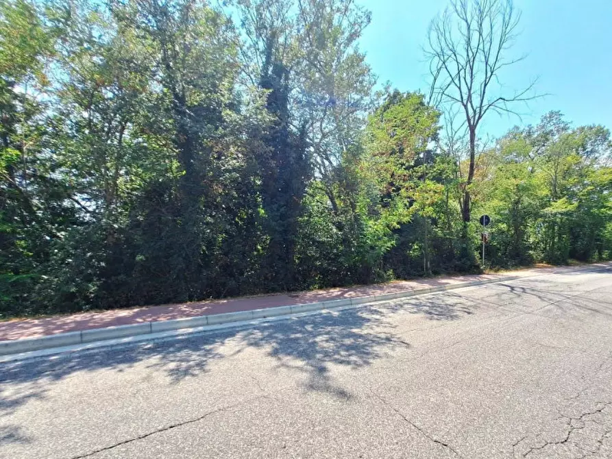 Immagine 6 di Terreno in vendita  in Strada Provinciale 2, N. Snc a Apiro