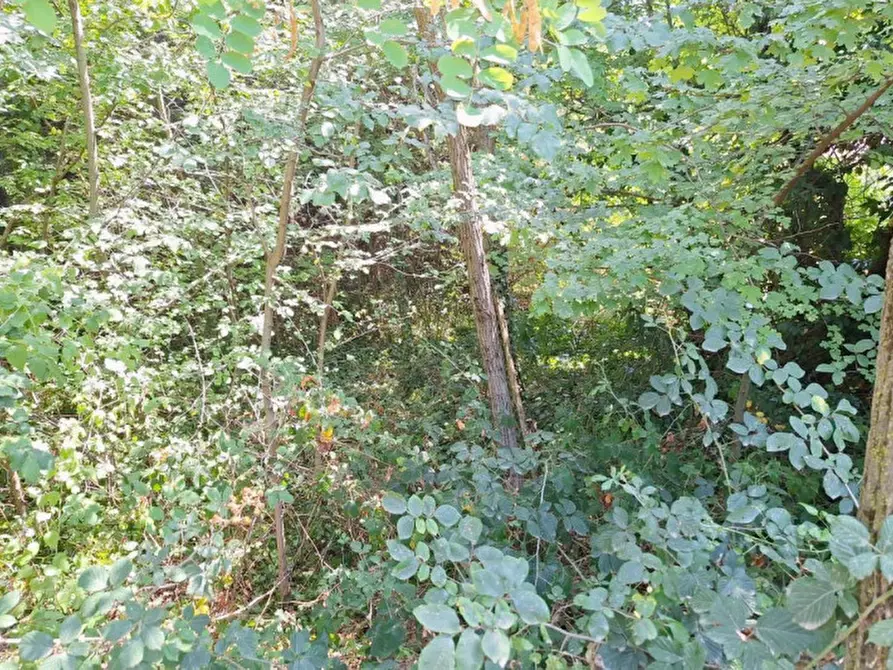 Immagine 10 di Terreno in vendita  in Strada Provinciale 2, N. Snc a Apiro