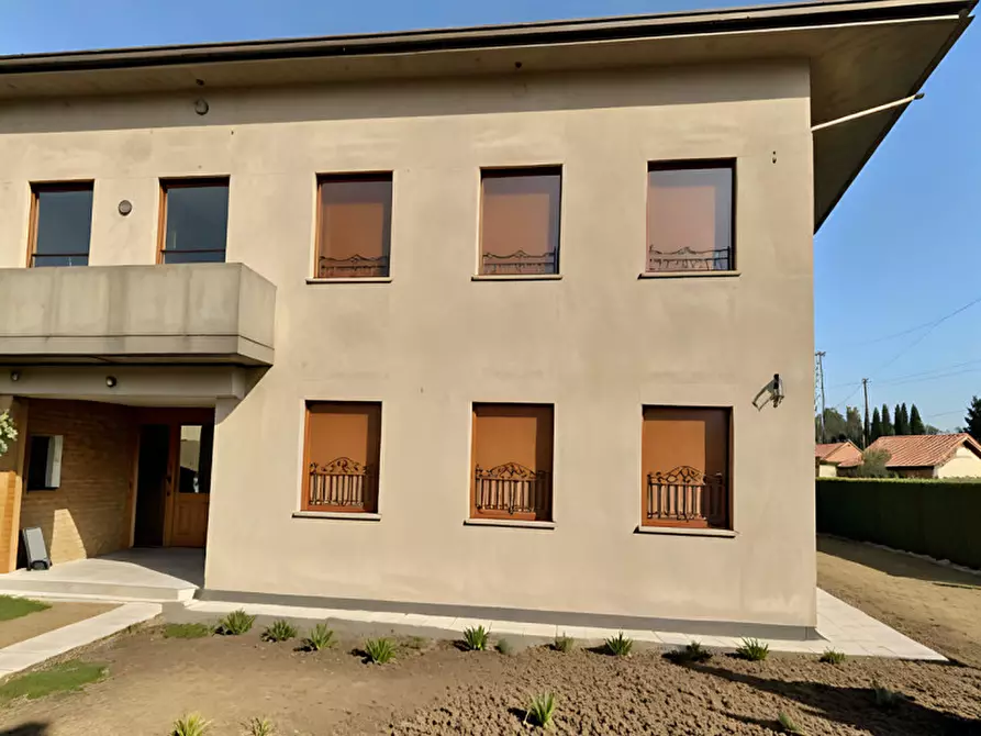 Immagine 3 di Casa indipendente in vendita  in Via Dante Alighieri a San Martino Di Lupari