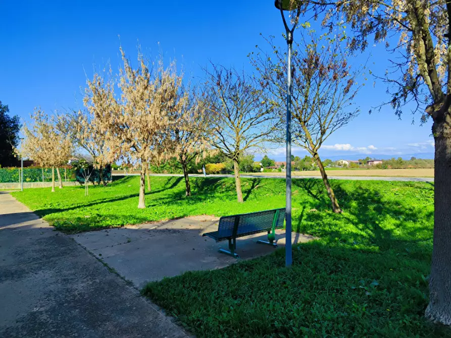 Immagine 2 di Attico in vendita  in Tremignon a Piazzola Sul Brenta