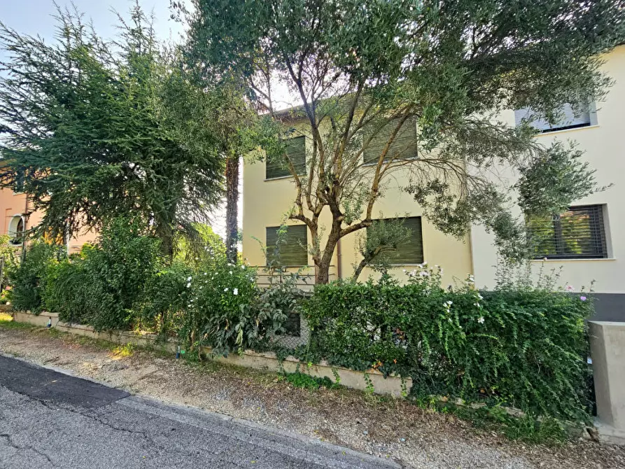 Immagine 1 di Casa bifamiliare in vendita  in VIA TORQUATO TASSO a Este