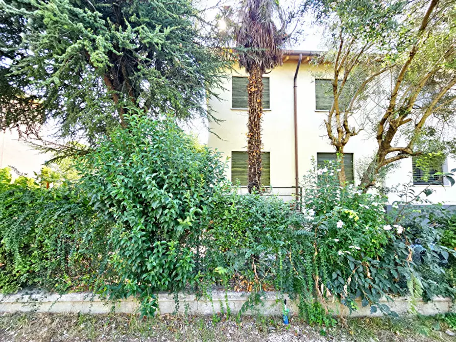 Immagine 15 di Casa bifamiliare in vendita  in VIA TORQUATO TASSO a Este