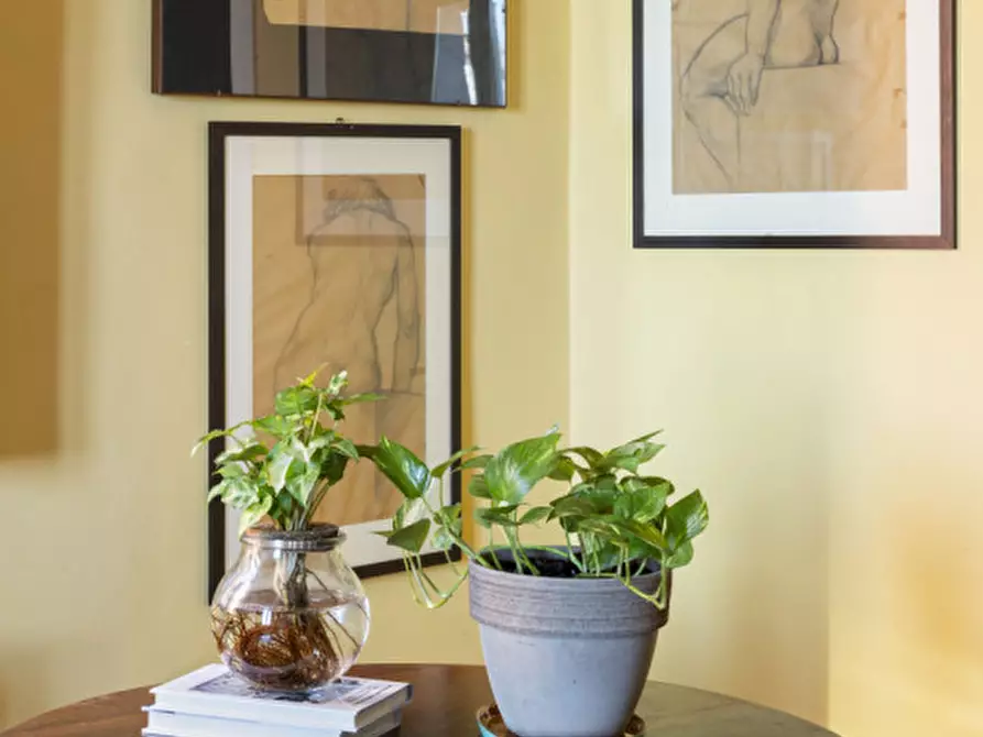 Immagine 7 di Appartamento in vendita  a Ostra