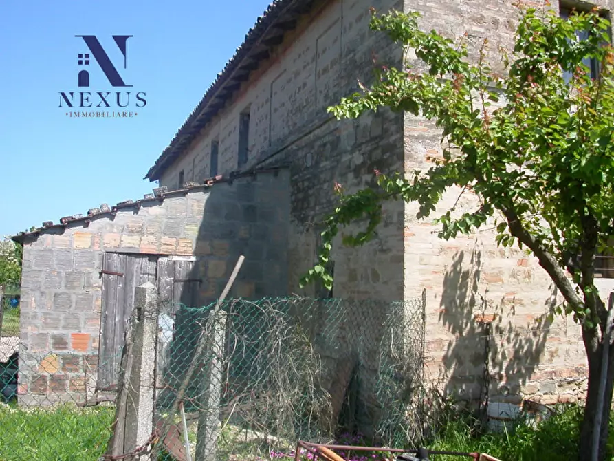 Immagine 6 di Rustico / casale in vendita  a Fano