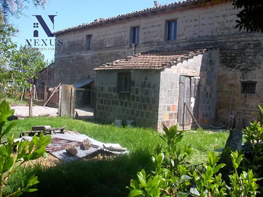 Immagine 7 di Rustico / casale in vendita  a Fano