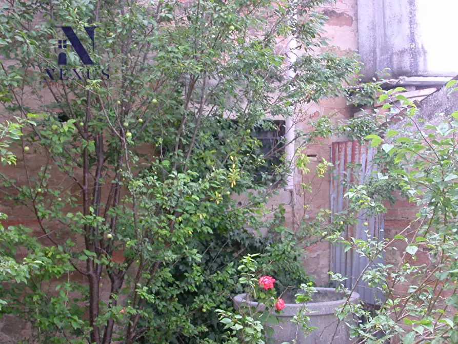 Immagine 12 di Rustico / casale in vendita  a Fano