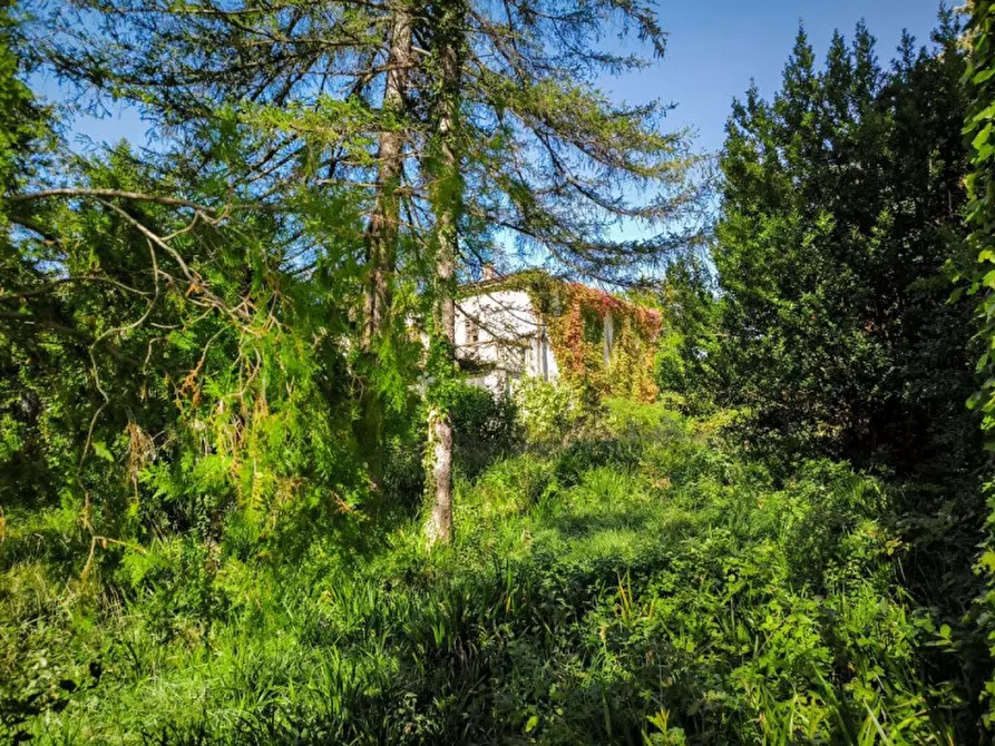 Immagine 10 di Rustico / casale in vendita  in Via Paradiso a Sant'angelo In Vado