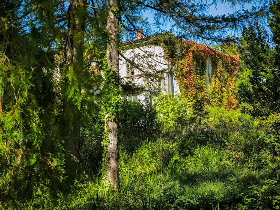 Immagine 11 di Rustico / casale in vendita  in Via Paradiso a Sant'angelo In Vado