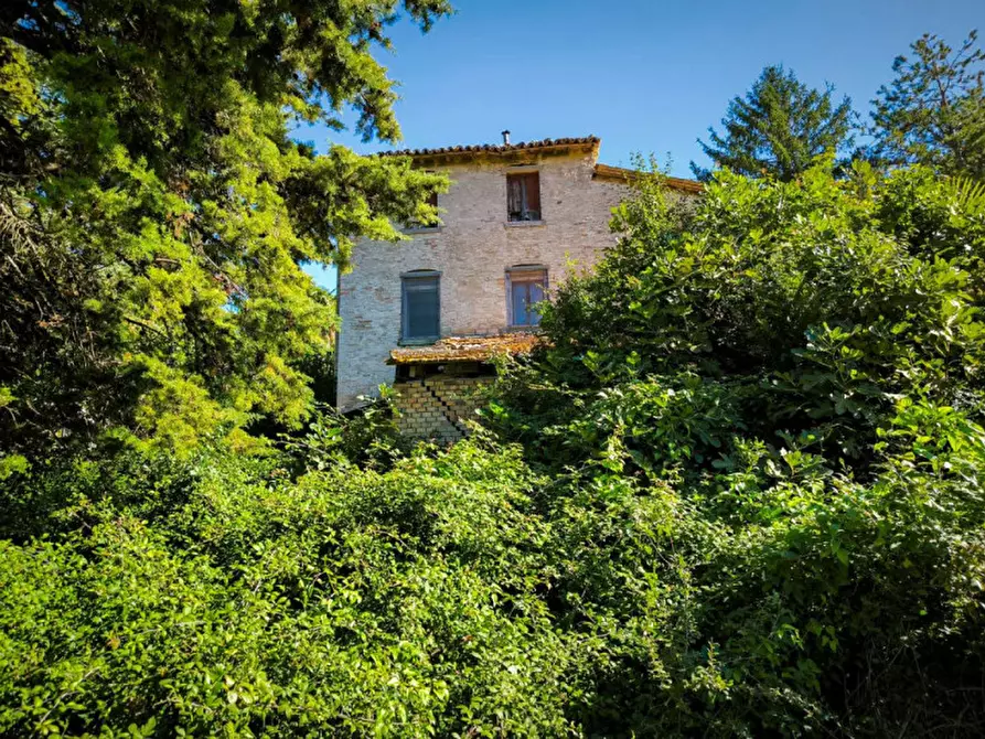 Immagine 12 di Rustico / casale in vendita  in Via Paradiso a Sant'angelo In Vado
