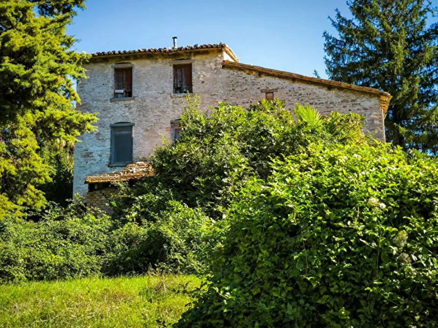 Immagine 13 di Rustico / casale in vendita  in Via Paradiso a Sant'angelo In Vado