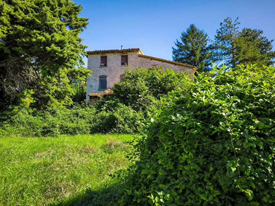 Immagine 14 di Rustico / casale in vendita  in Via Paradiso a Sant'angelo In Vado