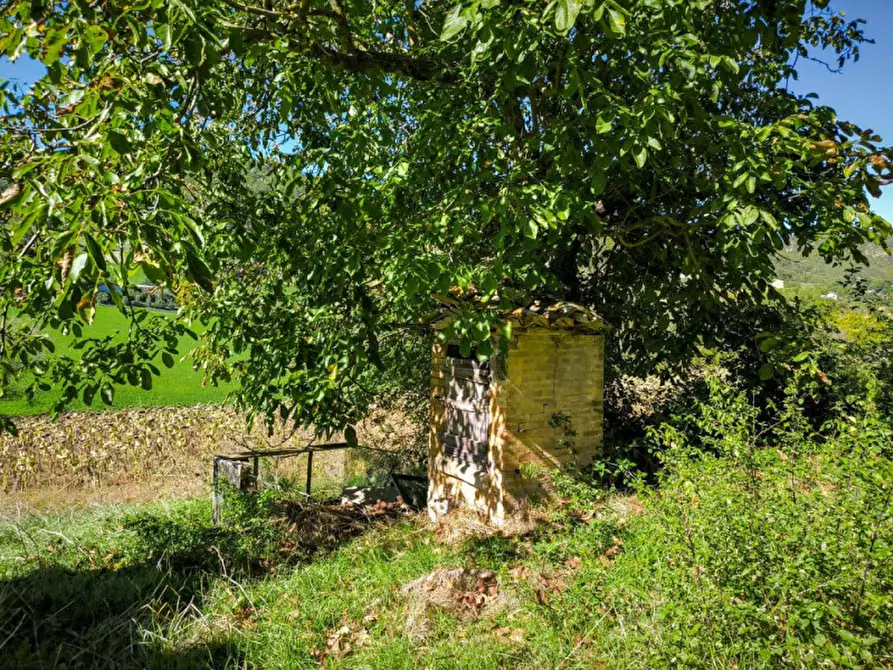Immagine 25 di Rustico / casale in vendita  in Via Paradiso a Sant'angelo In Vado