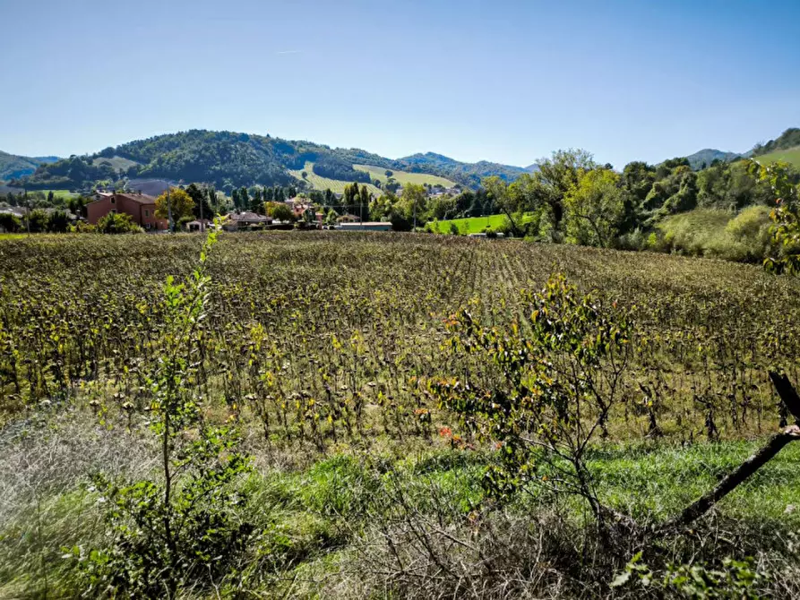 Immagine 30 di Rustico / casale in vendita  in Via Paradiso a Sant'angelo In Vado