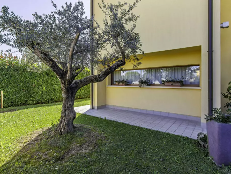Immagine 55 di Villa in vendita  a Mirano
