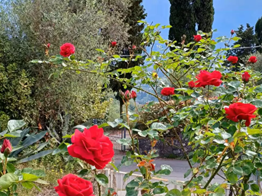 Immagine 26 di Casa indipendente in vendita  in Via per Pedona a Camaiore