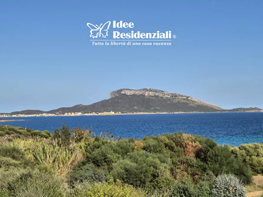 Immagine 3 di Appartamento in vendita  a Golfo Aranci