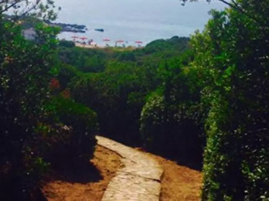 Immagine 25 di Appartamento in vendita  a Golfo Aranci