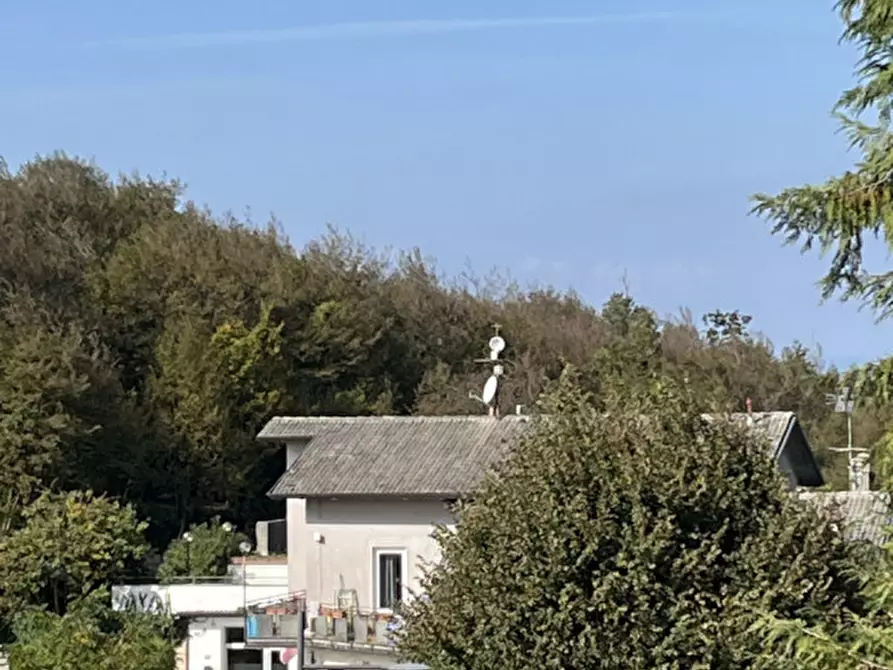 Immagine 11 di Appartamento in vendita  in Via Chiesa 6 a Zovencedo