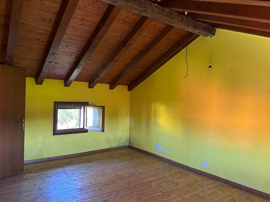 Immagine 4 di Rustico / casale in vendita  in Via Raffaello 7 a Gruaro