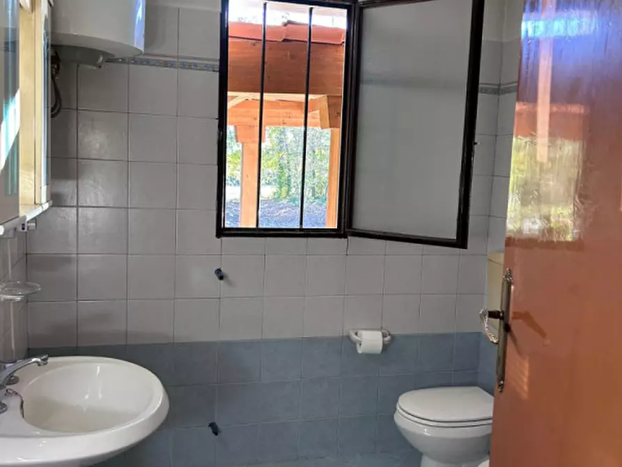 Immagine 10 di Rustico / casale in vendita  in Via Raffaello 7 a Gruaro