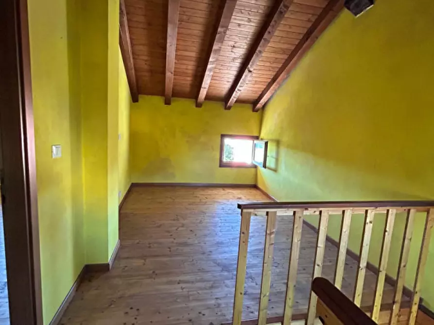Immagine 15 di Rustico / casale in vendita  in Via Raffaello 7 a Gruaro