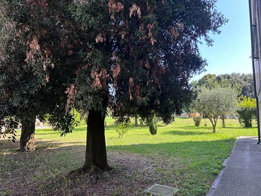 Immagine 10 di Appartamento in vendita  in Via Cesare Beccaria 14 a Portogruaro