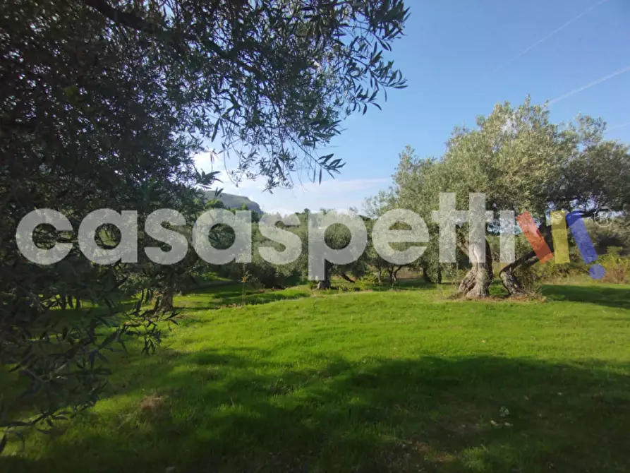 Immagine 2 di Terreno in vendita  in Via Piano Sperone a Altavilla Milicia