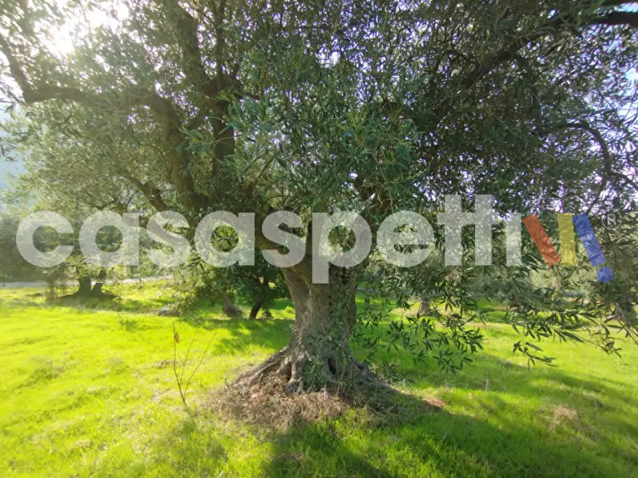 Immagine 1 di Terreno in vendita  in Via Piano Sperone a Altavilla Milicia