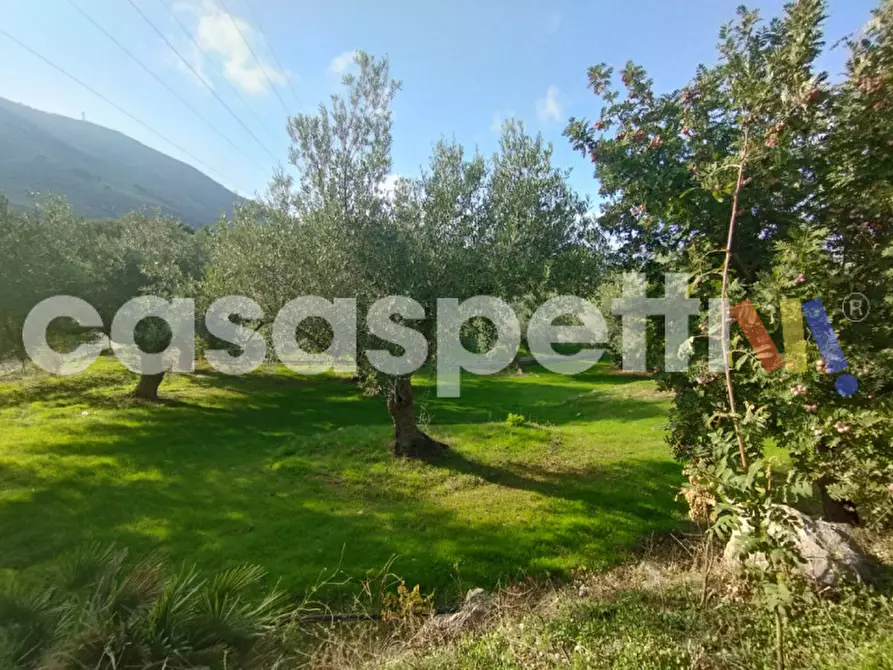 Immagine 3 di Terreno in vendita  in Via Piano Sperone a Altavilla Milicia