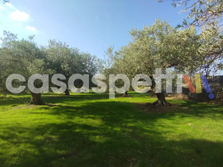 Immagine 4 di Terreno in vendita  in Via Piano Sperone a Altavilla Milicia