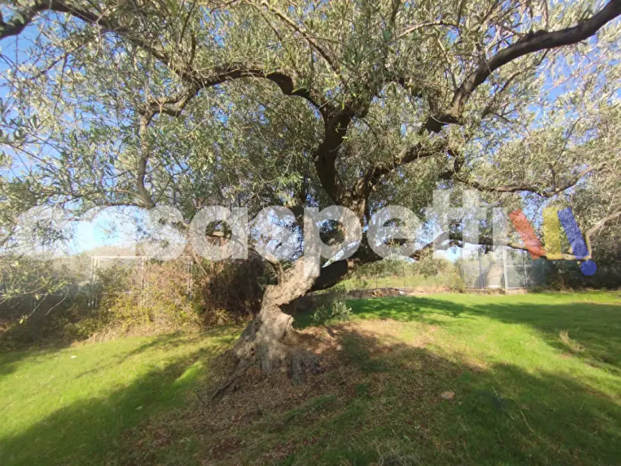 Immagine 5 di Terreno in vendita  in Via Piano Sperone a Altavilla Milicia