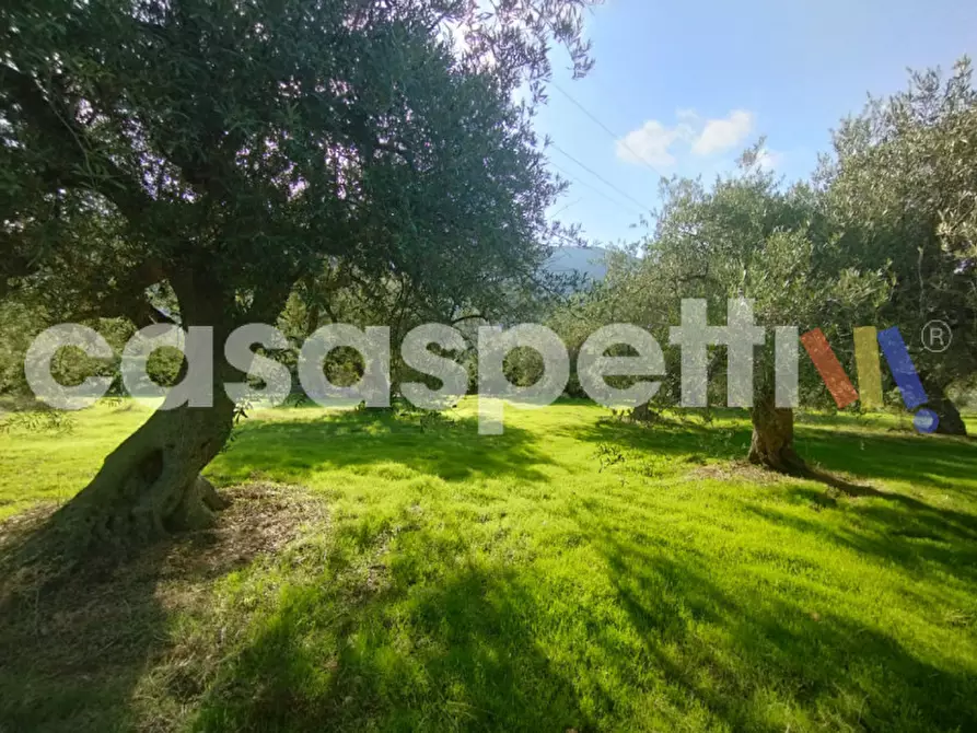 Immagine 6 di Terreno in vendita  in Via Piano Sperone a Altavilla Milicia