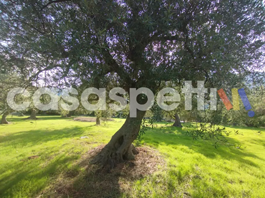 Immagine 7 di Terreno in vendita  in Via Piano Sperone a Altavilla Milicia