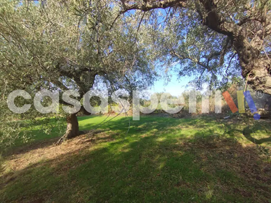 Immagine 8 di Terreno in vendita  in Via Piano Sperone a Altavilla Milicia