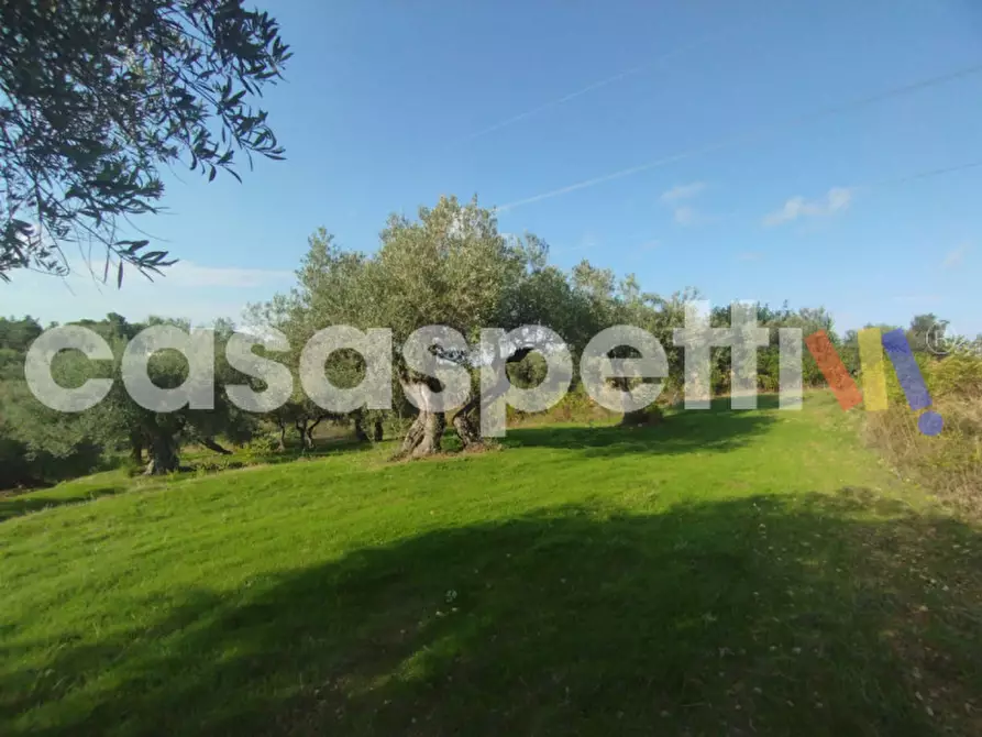 Immagine 11 di Terreno in vendita  in Via Piano Sperone a Altavilla Milicia