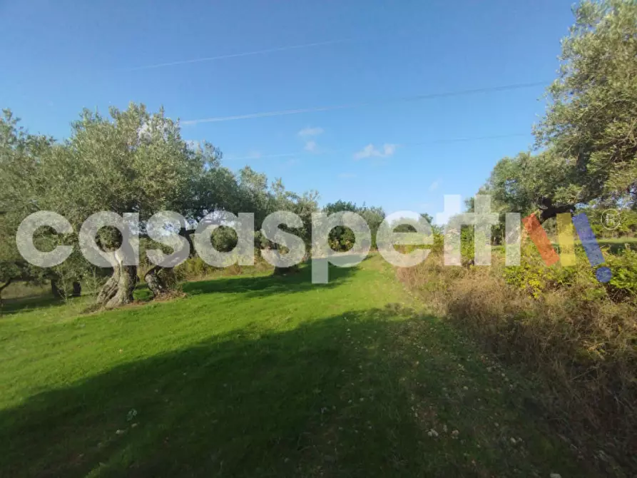 Immagine 12 di Terreno in vendita  in Via Piano Sperone a Altavilla Milicia