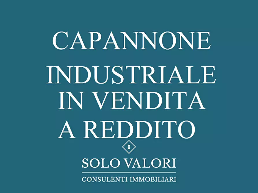 Immagine 1 di Capannone industriale in vendita  a Spinea
