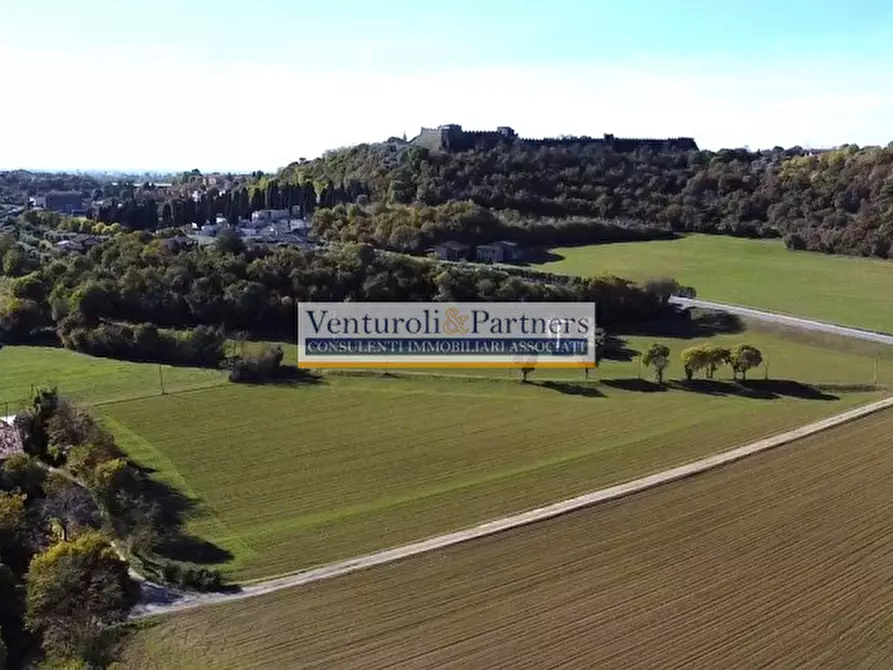 Immagine 3 di Terreno in vendita  in Via Mancino a Lonato del Garda
