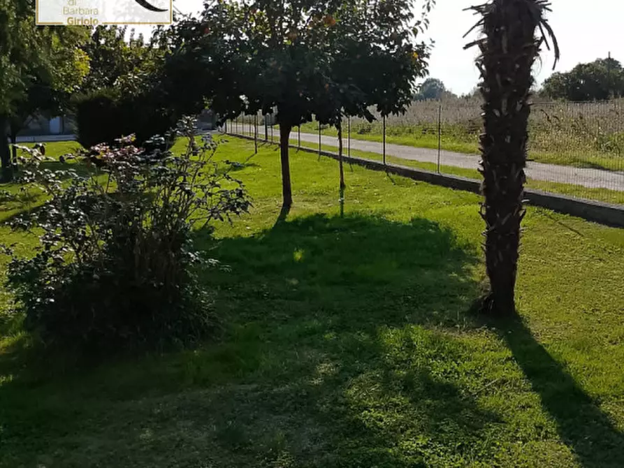 Immagine 18 di Casa bifamiliare in vendita  a Lendinara