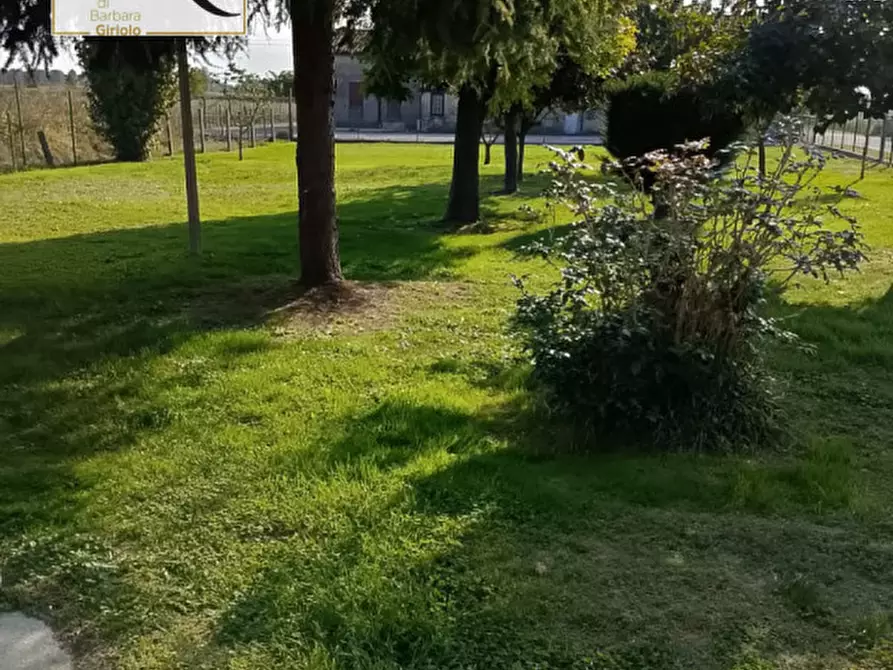 Immagine 18 di Casa bifamiliare in vendita  a Lendinara