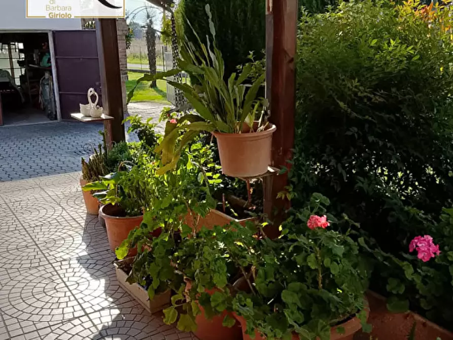 Immagine 20 di Casa bifamiliare in vendita  a Lendinara