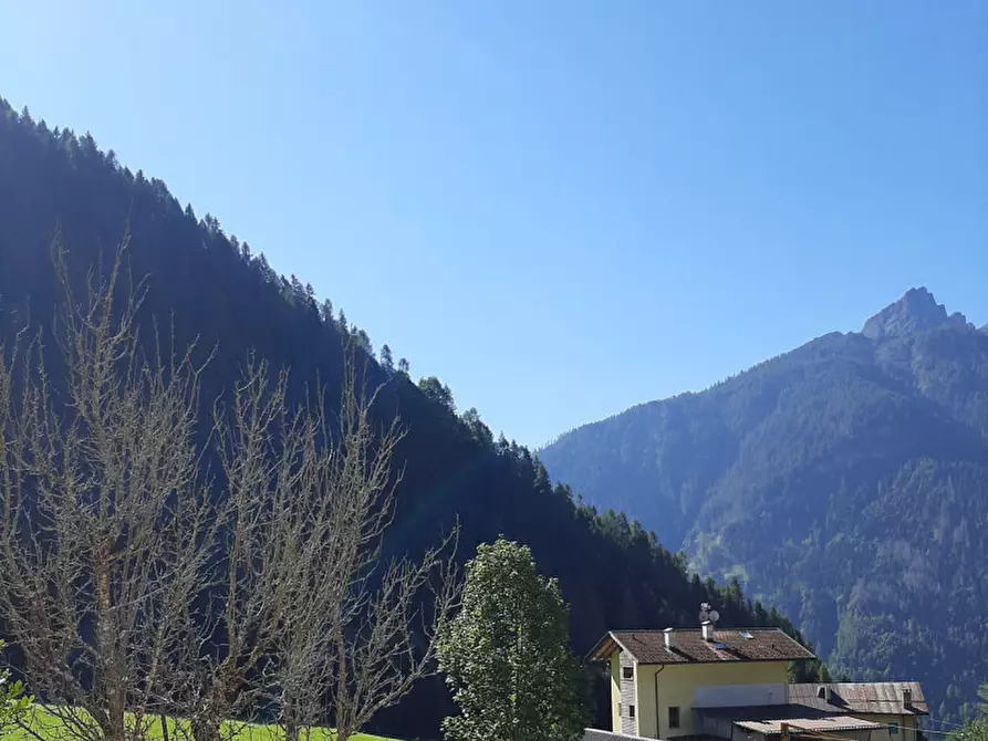 Immagine 7 di Appartamento in vendita  in Frazione Andrich a Vallada Agordina