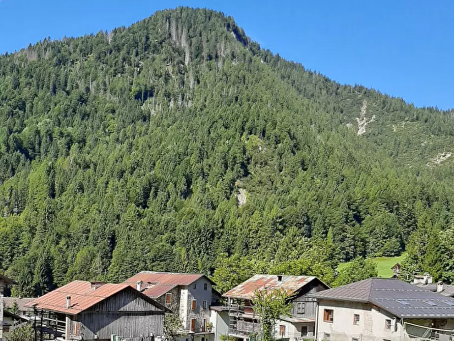 Immagine 11 di Appartamento in vendita  in Frazione Andrich a Vallada Agordina