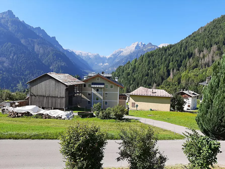 Immagine 15 di Appartamento in vendita  in Frazione Andrich a Vallada Agordina