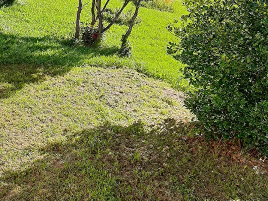 Immagine 27 di Appartamento in vendita  in Frazione Andrich a Vallada Agordina